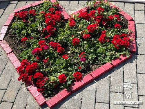 Ботанический сад ТувГУ может стать открытой площадкой для жителей Тувы