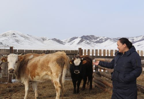 Олча Дажий-оол: «Руки работают и вся семья сыта»