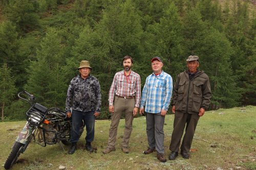 Учёные впервые изучили пресноводные лишайники в горном массиве Монгун-Тайга