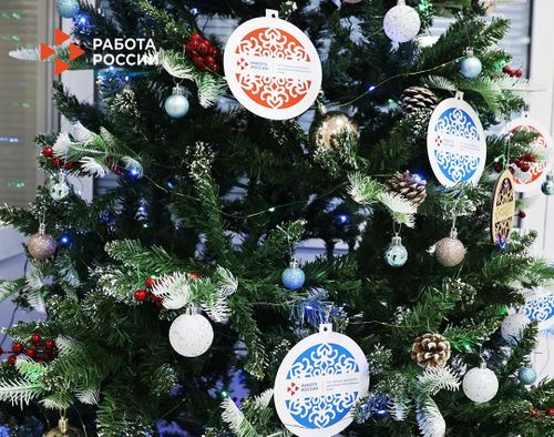 В Кызыле Кадровый центр «Работа России» открывает «Ёлку-вакансий»