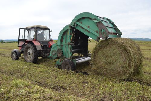 Кормозаготовка в районах Тувы в самом разгаре