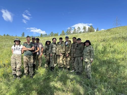 Специалисты «Рослесинфорга» приступили к комплексной проверке лесного фонда в Туве