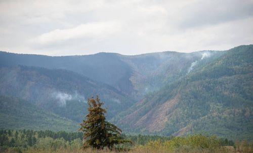 В Туве вновь объявили режим чрезвычайной ситуации из-за лесных пожаров