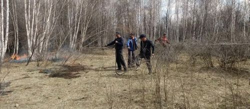 Өрт өжүрүкчүлери арга-арыг өрттериниң шөлүн 2,1 гектар чедир эвээжеткен