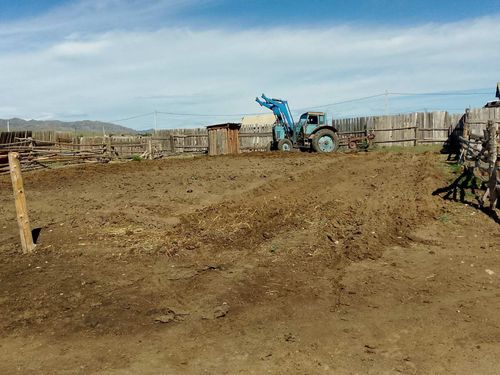 Жители Тес-Хемского района активно сажают «народный» картофель