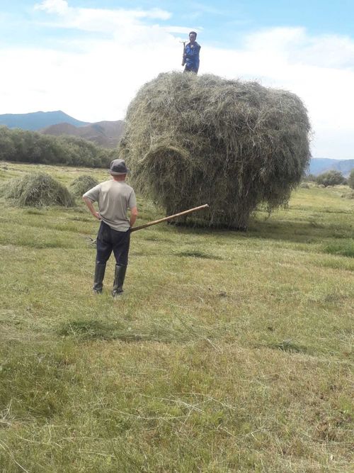 Бай-Тайгинский район активно готовится в зиме
