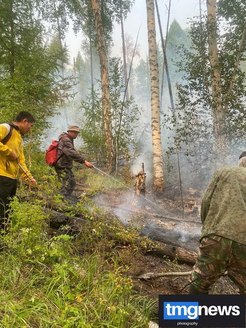 В Туве действует особый противопожарный режим: за нарушение правил может грозить штраф от 40 до 500 тысяч рублей