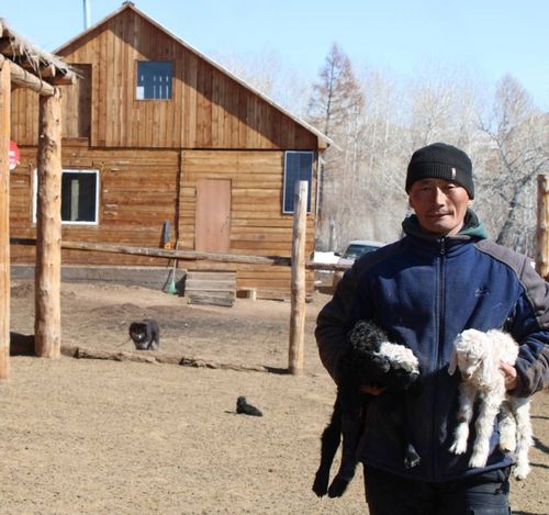 Кол-ла сорулга – малдың чаш төлүн онча-менди камгалап алыры