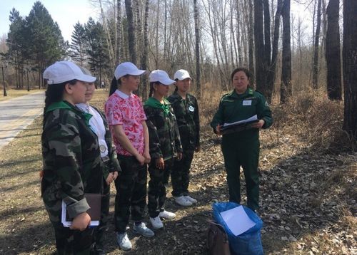 В Туве пройдет республиканский слёт членов школьных лесничеств «Лес и человек»