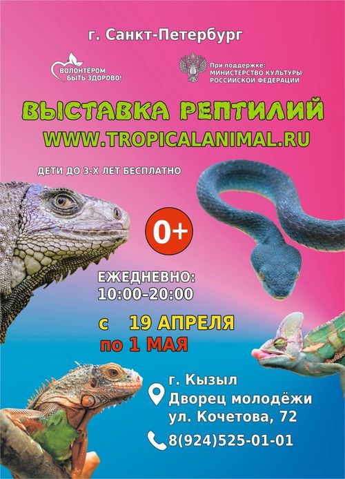 Друзья! К нам в город приехала легендарная и самая необычная выставка из г. Санкт-Петербурга!