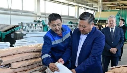 Сергеихинск пөс-таавызы: Тывада дүктен материалдар бүдүрүлгезин эгелээн