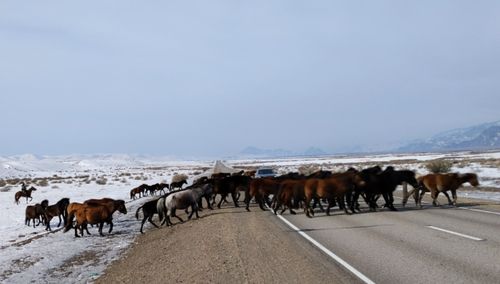 Караңгыда орукка серемчилелди кошкатпас болза эки