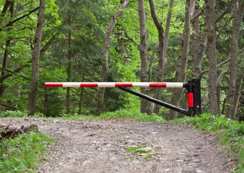 В Туве ввели ограничение на посещение лесов