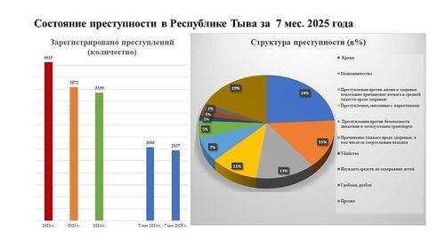 В Туве с начала года отмечают снижение общего количества преступлений