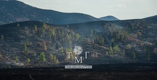 В Туве действует 17 лесных пожаров, действующих степных пожаров не зарегистрировано