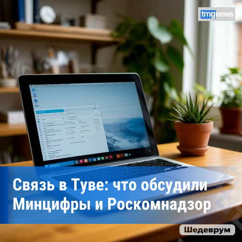 Минцифры Тувы и Роскомнадзор обсудили улучшение мобильной связи и интернета