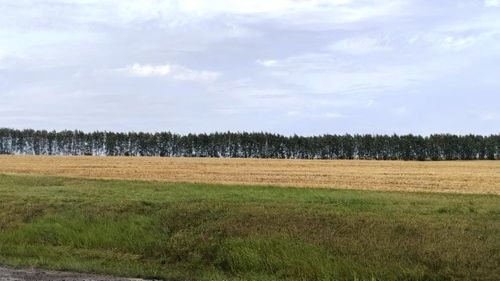 Фермеры Тувы смогут арендовать земли сельхозназначения без торгов