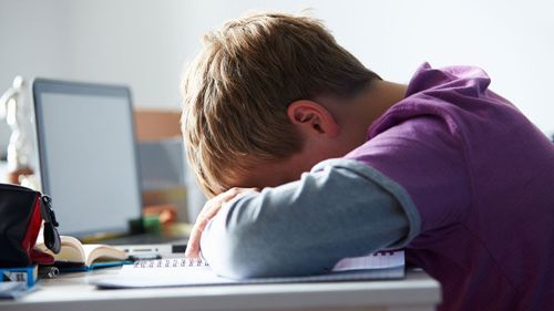 На заметку родителям Тувы: контент от западных разработчиков в Интернете может быть опасным для детей