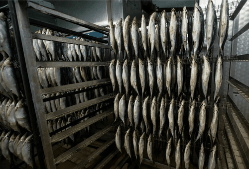 В селе Тоора-Хем откроют цех по переработке рыбы