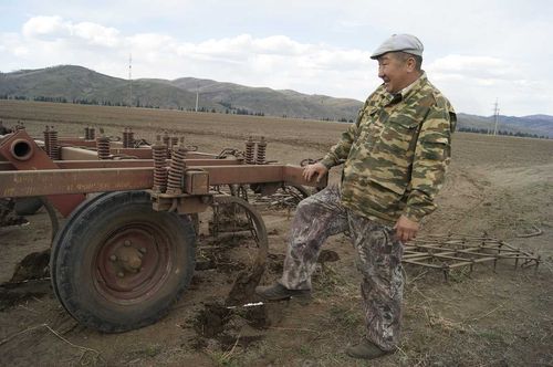 Минсельхозпрод Тувы: посевная начнется во второй половине мая 