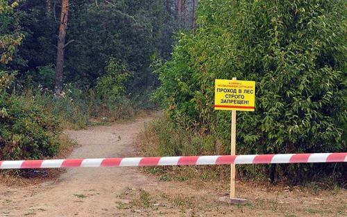 Особый противопожарный режим в Туве хотят продлить до 21 мая 