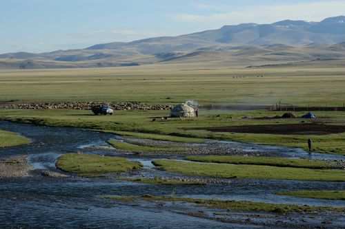 Минсельхоз Тувы: в Тоджинском районе необходимо увеличить территории для пастбищ