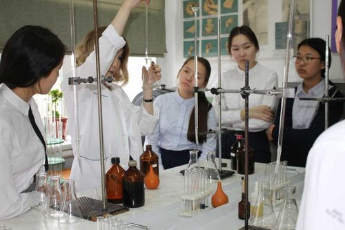 150 лет таблице Менделеева: в Тувинском государственном университете проходит неделя химии 