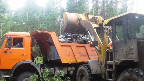 Лесничества Тувы очищают лес 