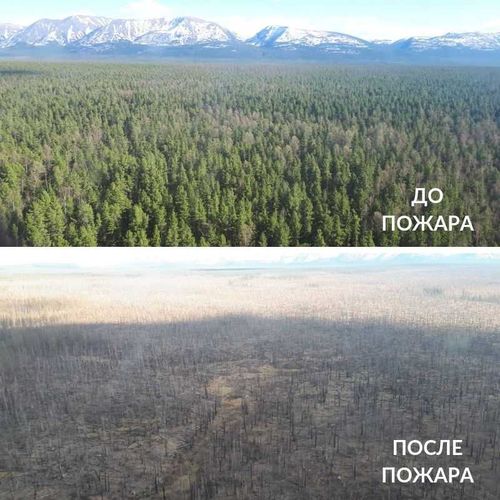 В минувшие выходные Минприроды Тувы выставили 32 передвижных поста на въездах в лесные массивы 