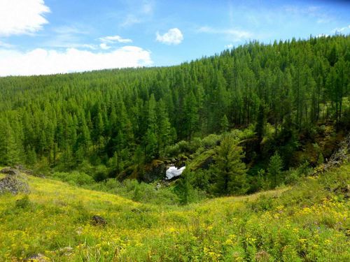 Авиалесохрану переведут в режим повышенной готовности – август обещает быть сухим и жарким 