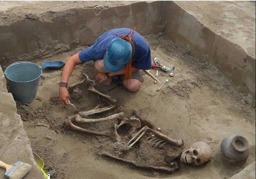 Археологи в Туве нашли захоронение хунну с поясом из раковин каури и серьгами из коралла 