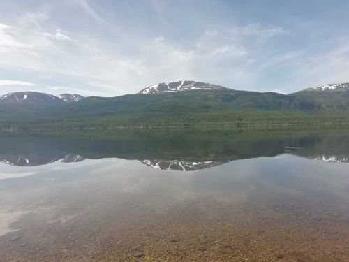 В Тоджинском районе Тувы задержаны семеро браконьеров