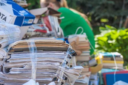 Центр защиты леса Республики Тыва приглашает жителей республики принять участие в акции «Каждый листик лесу дорог»