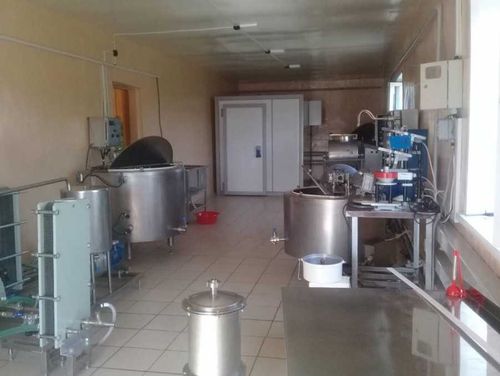 В Улуг-Хемском районе Тувы откроют молочный цех 