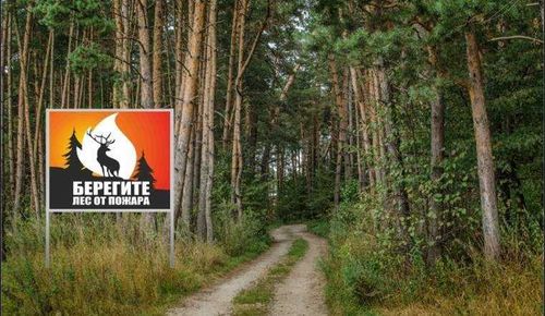 Туве действует особый противопожарный режим 