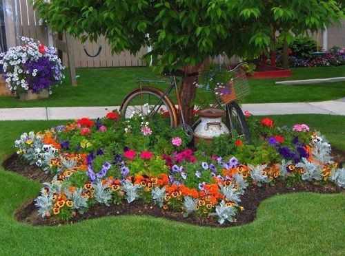 На конкурс «Цветущий Кызыл» подано 50 заявок 