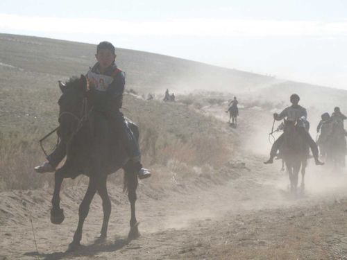В Монгун-Тайгинском районе во время конных скачек произошёл несчастный случай 
