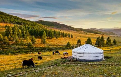 Август начнётся с дождей и гроз: какая погода ждёт жителей Тувы в последний месяц лета 