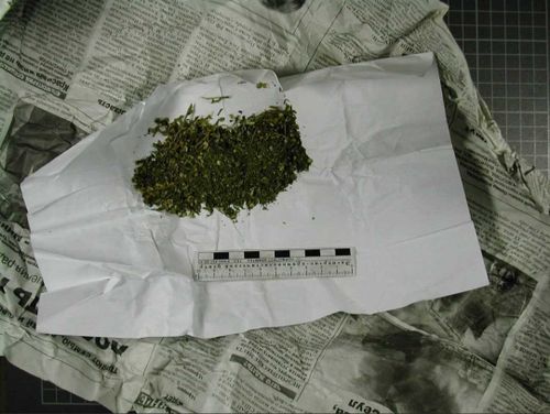 В Туве выявлено восемь фактов незаконного оборота наркотических средств