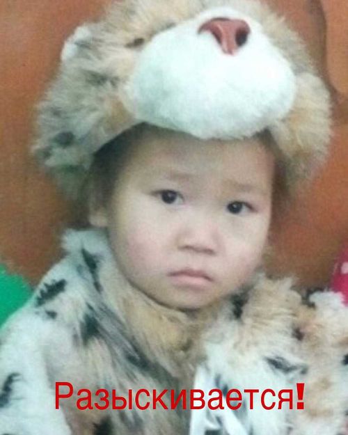 В Туве без вести пропала пятилетняя девочка 