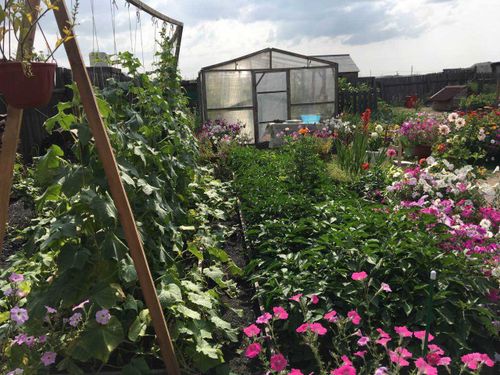 В Кызыле экспертная комиссия конкурса «Удачный дачник» начала выезды на объекты домохозяйств-участников  