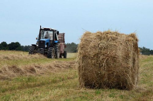 Заготовка кормов в Туве близится к завершению