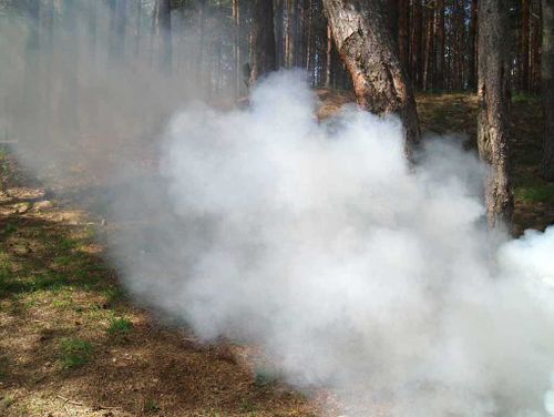 С начала года на пожарах в Туве пострадали девять детей 