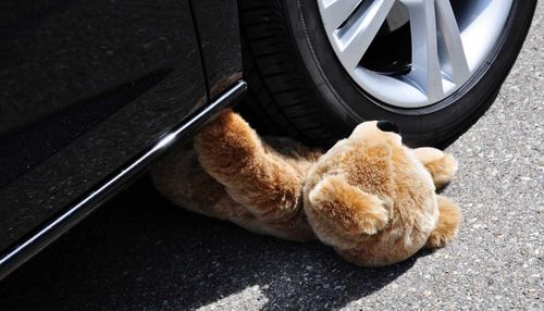 В Тоджинском районе Тувы проводится проверка по факту гибели трёхлетнего ребёнка