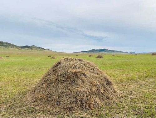 Хозяйства Пий-Хема продолжают кормозаготовку