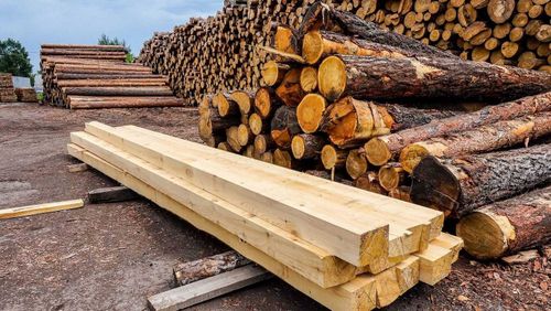 В Доме туризма прошёл семинар «Как организовывать бизнес по производству пиломатериала»