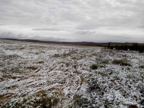 В Тандинском и Тоджинском районе Тувы выпал снег