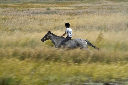В Туве в местечке Тос-Булак прошло закрытие сезона конных скачек, приуроченного Дню памяти тувинских добровольцев