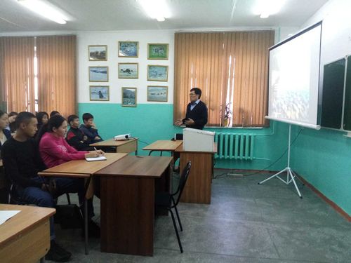 Тувинских баранов скрещивают с дорперами