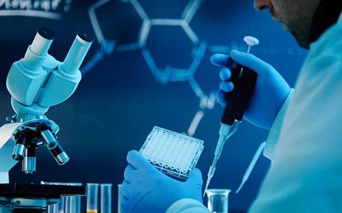 В Туве изучаются возможности открытия молекулярно-генетической лаборатории